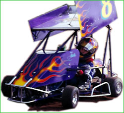 Purple Go-Kart Image